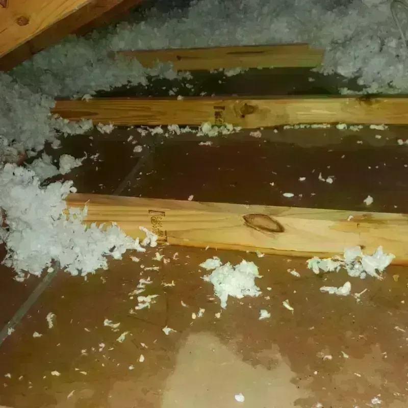 Attic Water Damage in Rolette County, ND