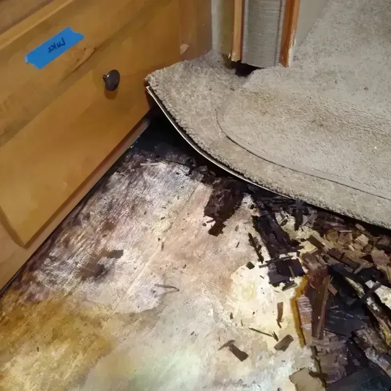 Wood Floor Water Damage in Rolette County, ND